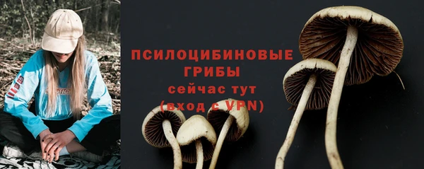 прущие крисы Беломорск
