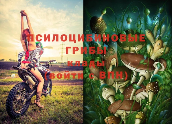 прущие крисы Беломорск
