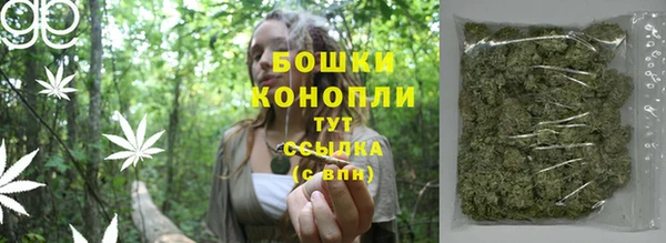винт Белокуриха