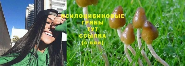 стафф Белоозёрский