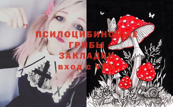 винт Белокуриха