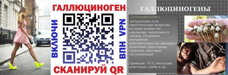 Псилоцибиновые грибы Psilocybe  Видное 