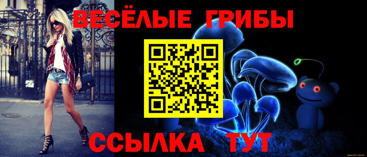 купить   Псилоцибиновые грибы Cubensis  Видное  Псилоцибиновые грибы MAGIC MUSHROOMS 